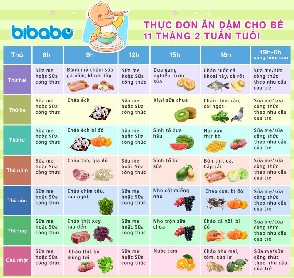 Lịch Ăn Dặm Cho Bé 11 Tháng: Bí Quyết Xây Dựng Thực Đơn Khoa Học